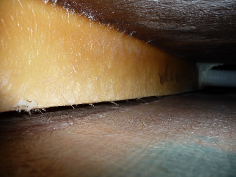 6. Looking forward along the side of the 1 1/2" x 1 1/2" cedar stiff arm or beam. Notice the white plastic pipe chase, which holds the water line and electrical lines crossing from starboard to port, to feed the galley area.