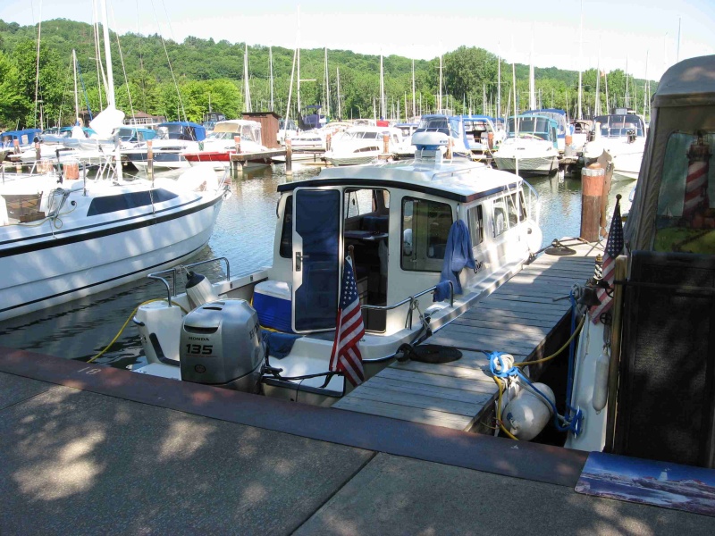 6 settled in treman marina