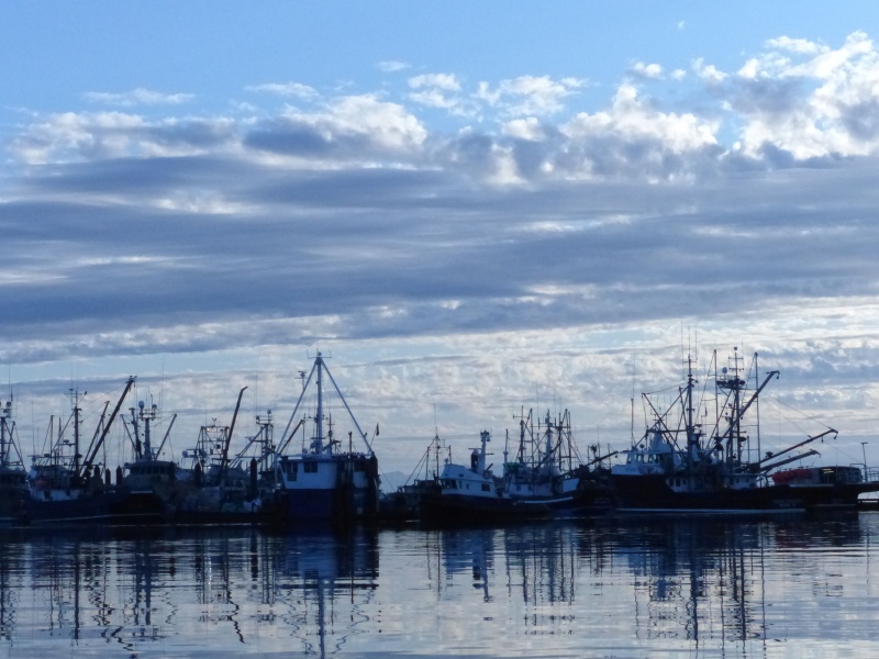 60 Settled at a harbor for the night