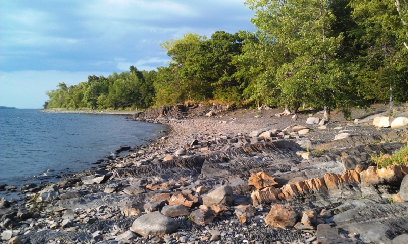61.) Burton Island shore