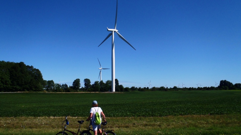 63.) Many wind generators on Wolf Island