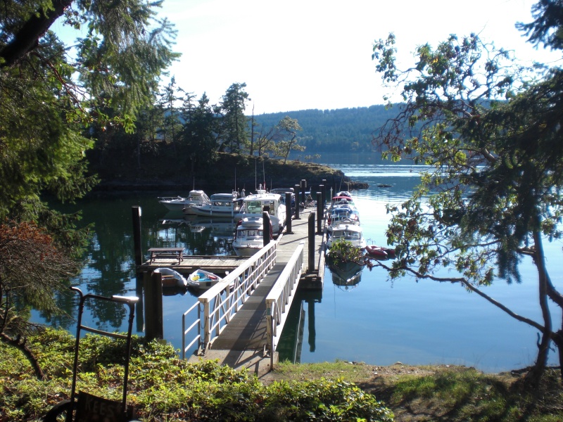 7 C-Dory's at the dock, Conover Cove.