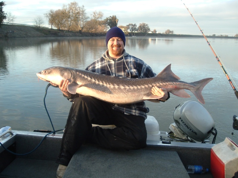 70 incher 85 lbs