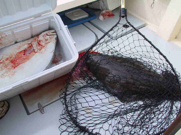8.2 catch at the ranch.JPG