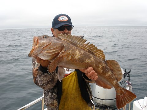 8 ling cod and 21 Albacore Tuna 90 mile north of SF.. 40miles off Bodega Bay.......235 mile Round Trip  Aug 2009