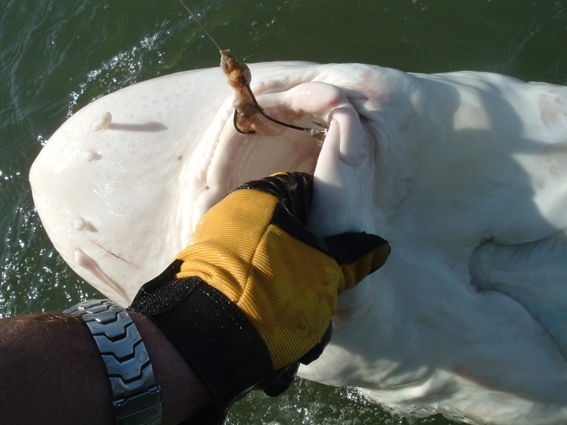 89+ incher!!