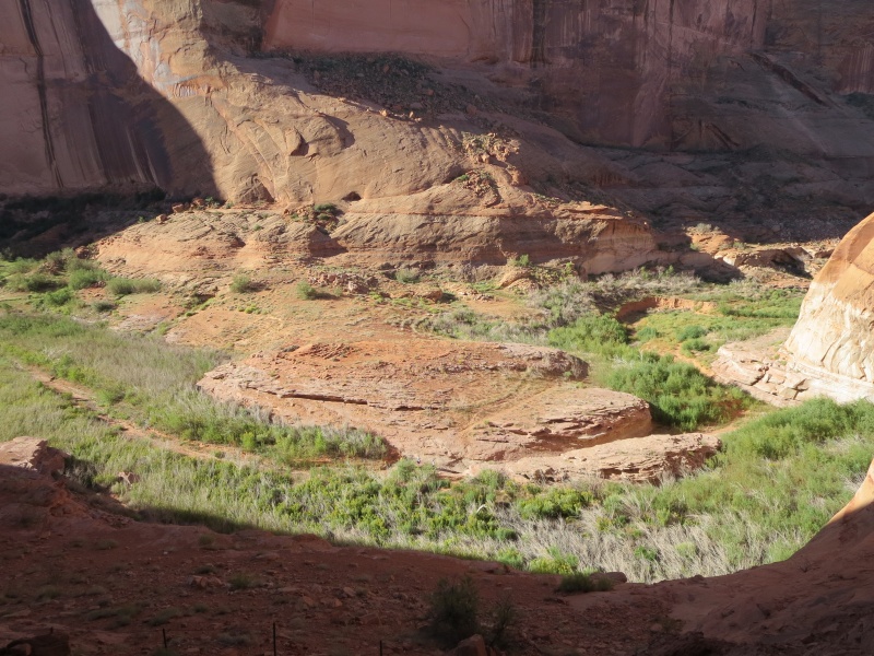 9-23-14 View from Restored Defiance House Ruins