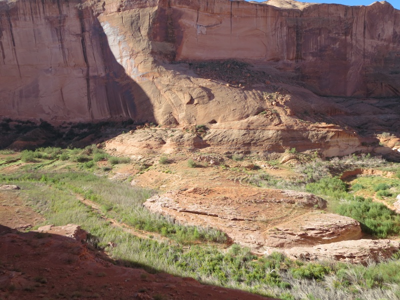 9-23-14 View from Restored Defiance House Ruins