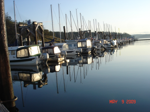 9 May Friday Harbor
Sleeping C-Dorys