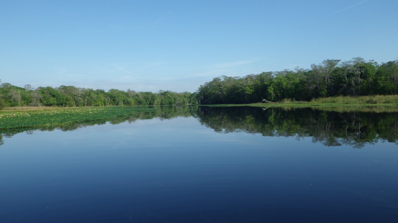 A beautiful morning on the Hontoon Dead River.