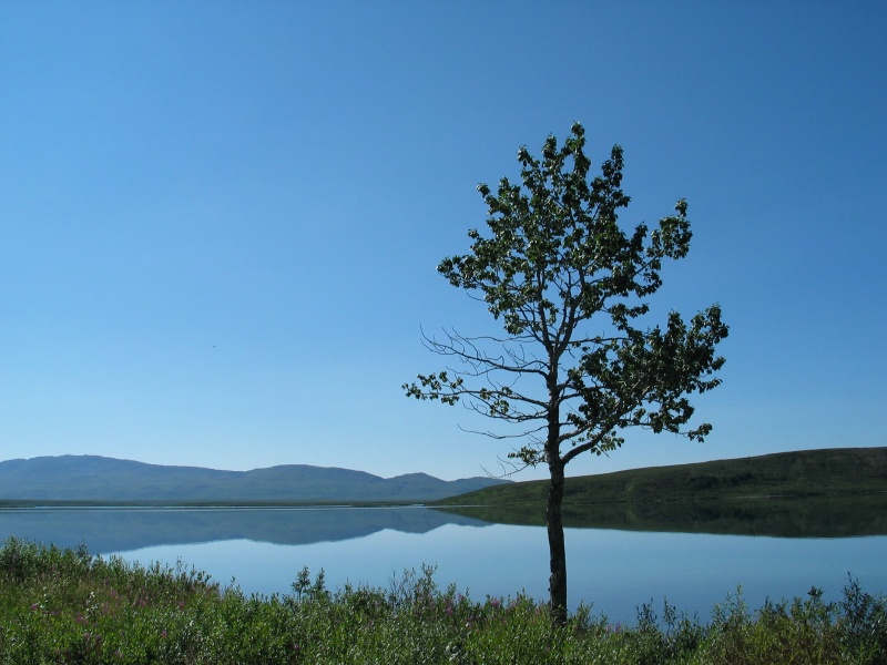 A calm day on Summit Lake, AK
