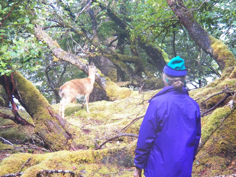 A few breaks in the weather allowed for some catch and release deer hunting.