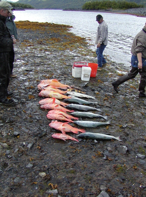 A few fish