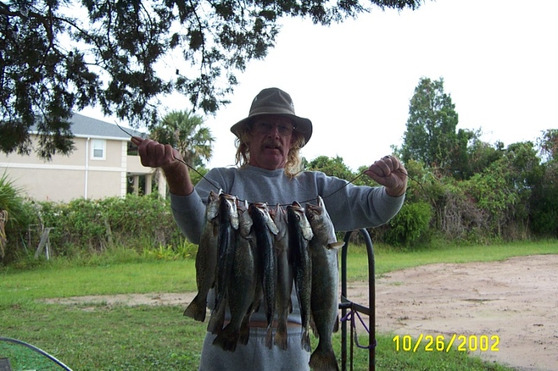 A few trout