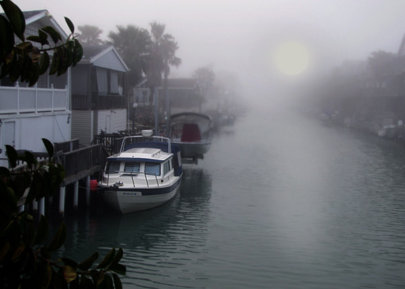 A foggy February morning