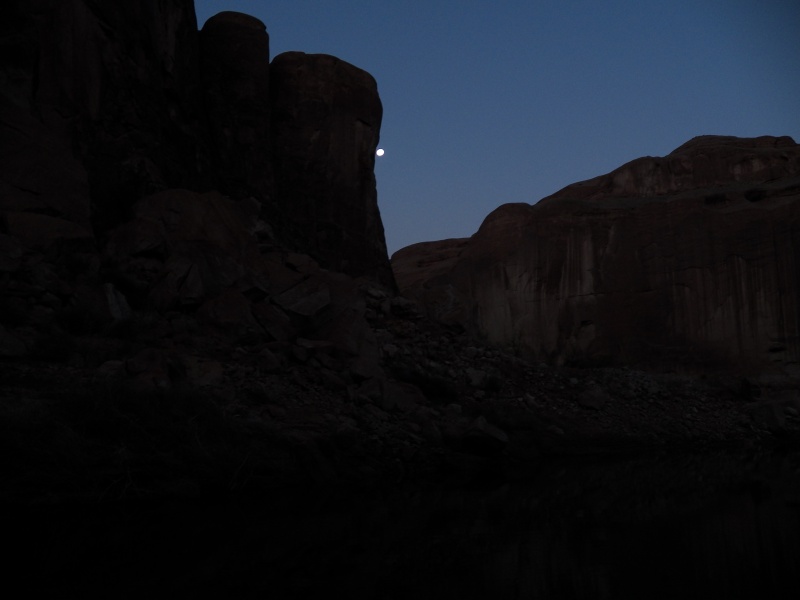 A full moon peeks out.