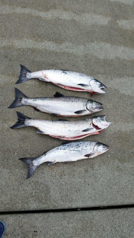 A good day!  4 for 4 with 1 double.