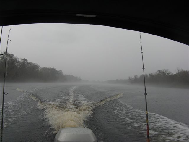 A good day for ducks and to head home from a great trip