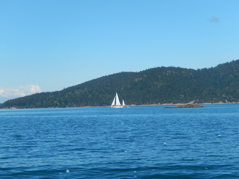 A graceful yawl passing ahead of See-Saw on the way to Friday Harbor