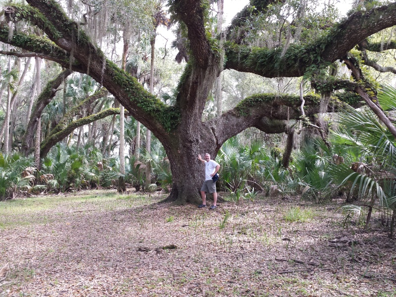 A Hike to "Bear Tree" at Hontoon.