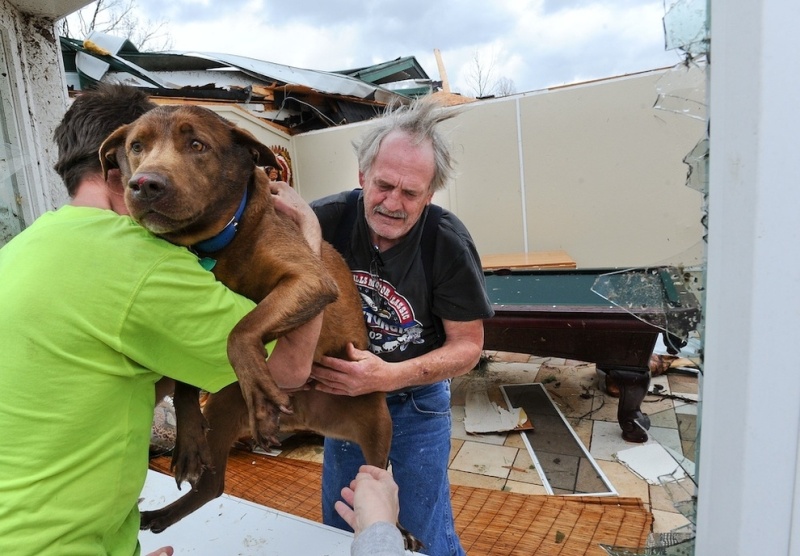 A Man Reunites With His Dog After The Alabama Tornado 2