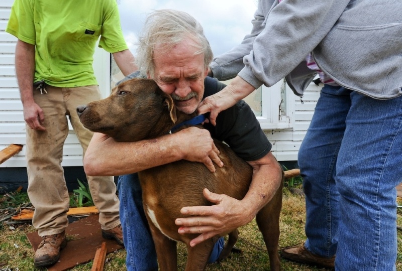 A Man Reunites With His Dog After The Alabama Tornado 3