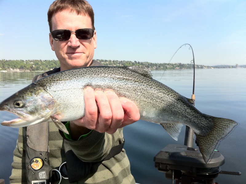 a nice cutthroat specimen