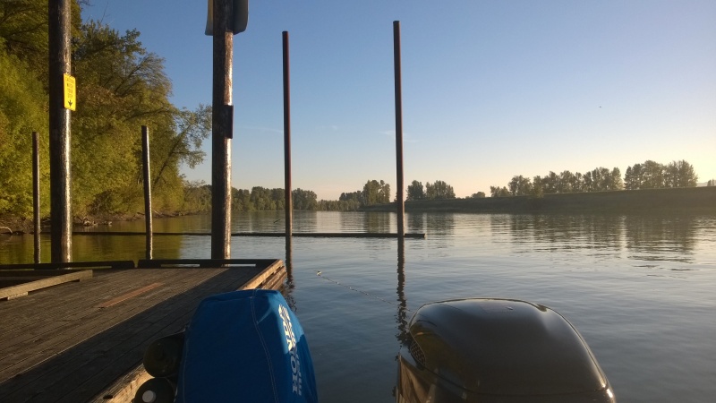 A peaceful day at Coon Island on the Multnomah channel