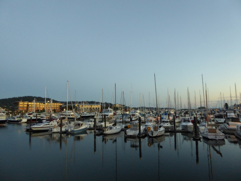 A peaceful Squalicum Harbor on Thurs night