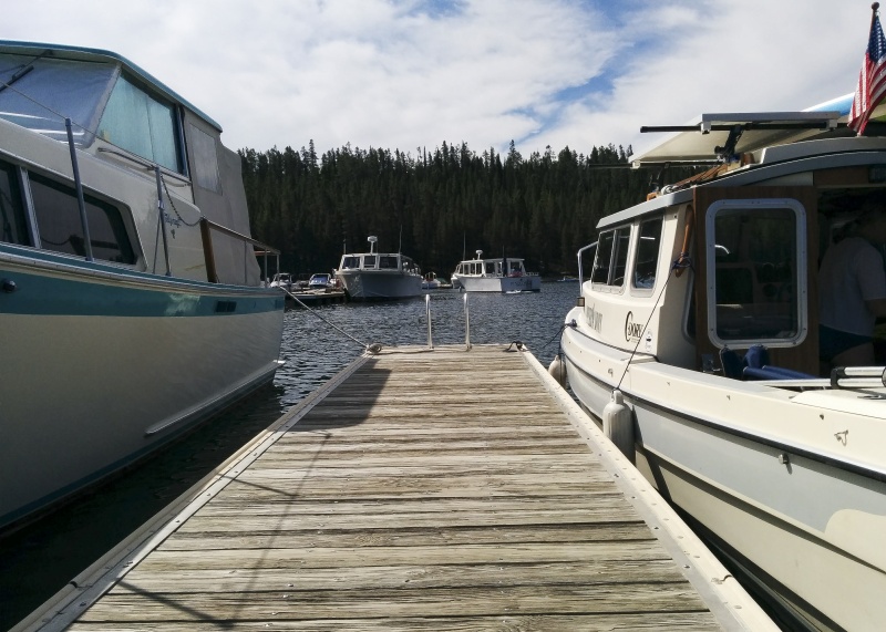 A pic for Capt Jim. Jackson Lake tour boats.