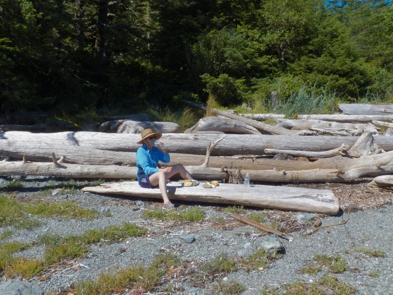 A picnic table.