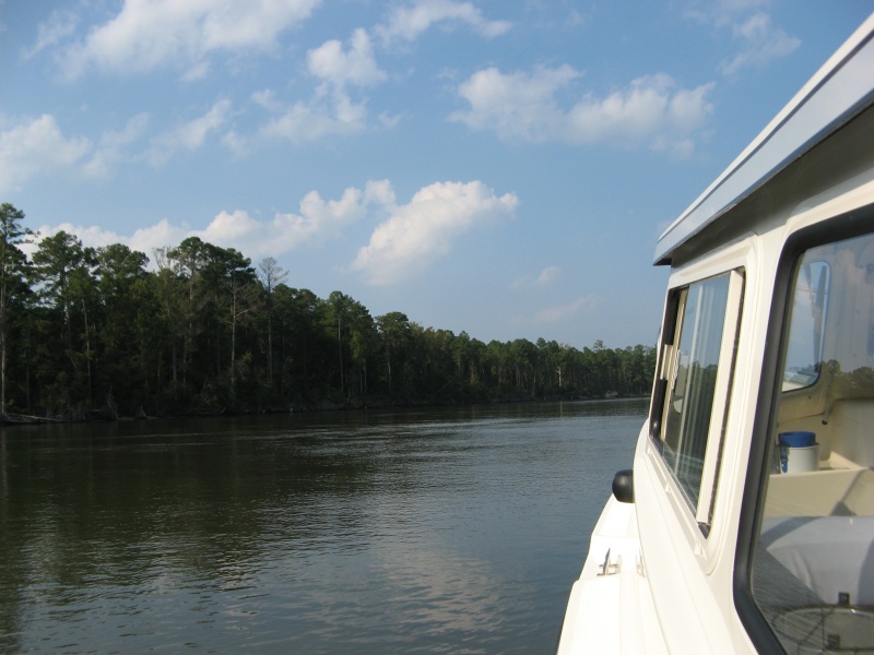 A quiet stretch of Adam's Creek