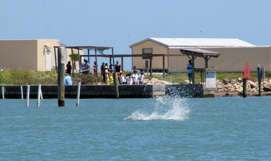 a splash where the dolphins had been a few seconds earlier