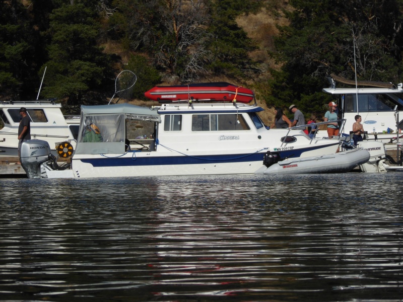 A Tom Cat among those at the dock