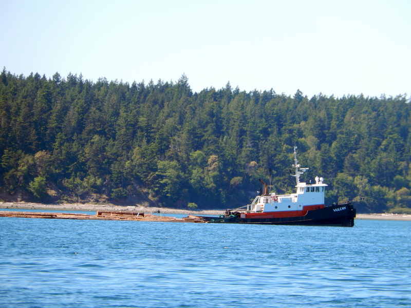 A tugboat pulling a raft of logs