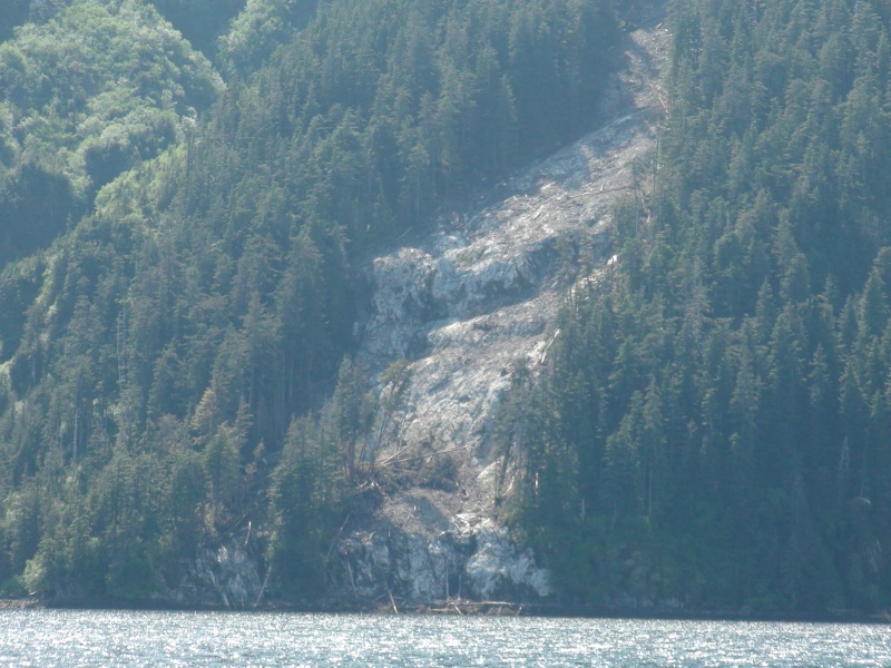 A typical slide down to rock.  Many more since last year