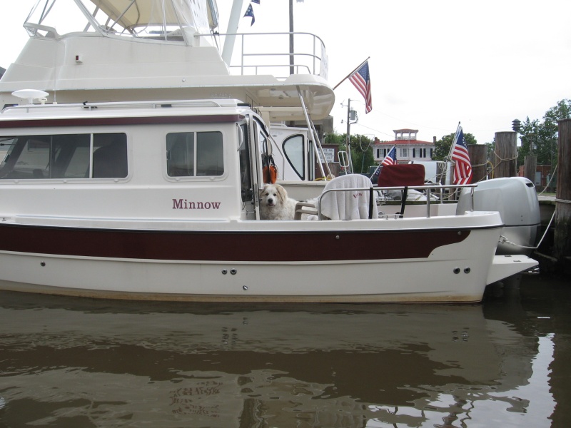 Abbey on Minnow