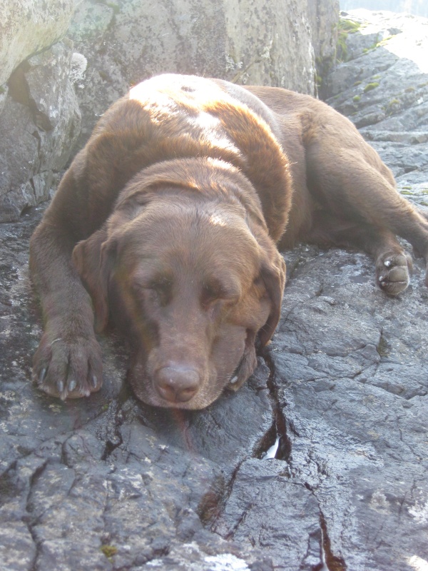 Abby 9-1-09