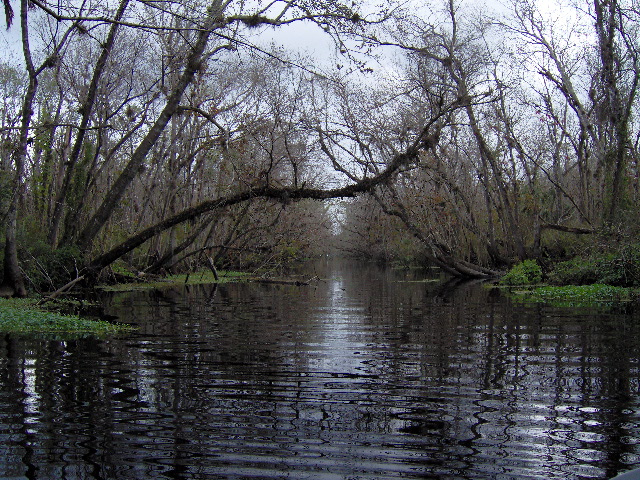About a mile long canal from dead river to St. Johns. Impassable, rowing the dink I got about half way.