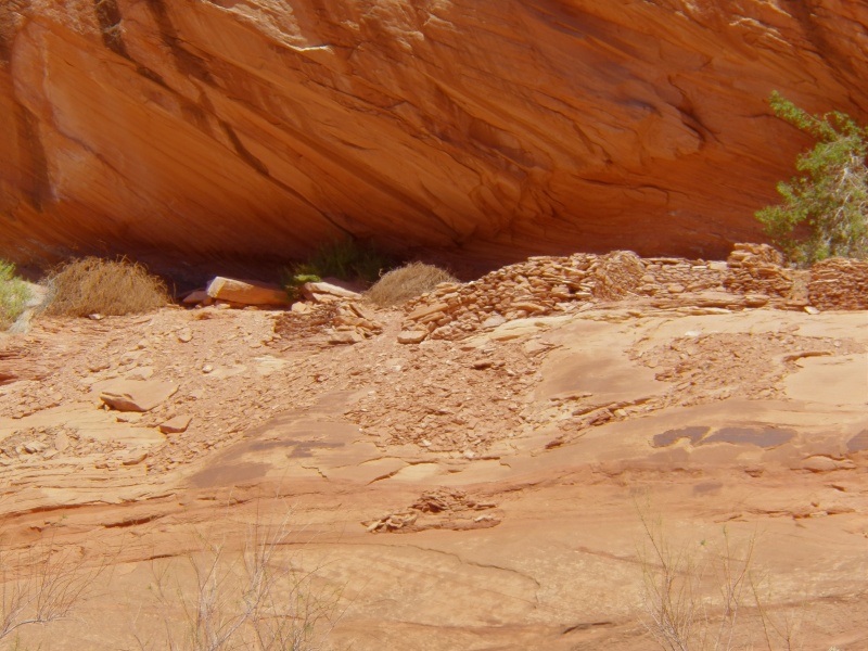 About a mile up the canyon, there are unrestored ruins high up on the canyon walls.