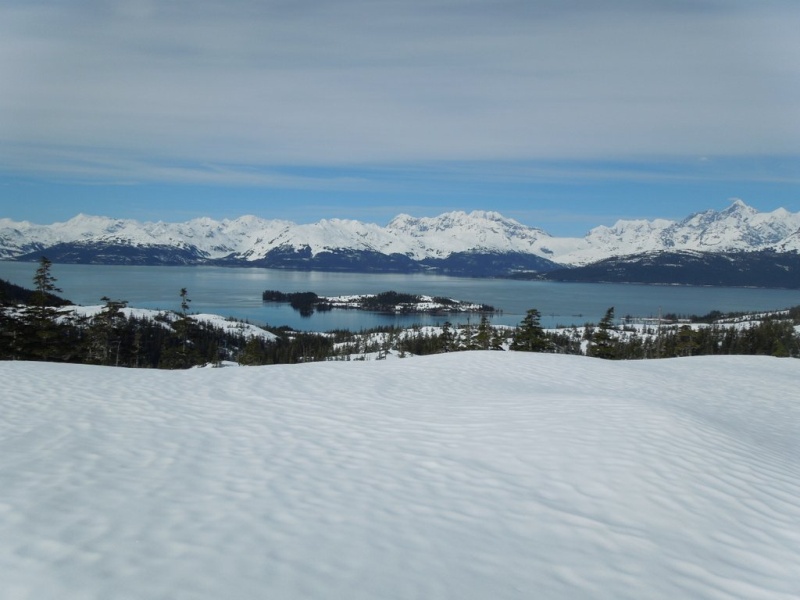 Above Golden, Port Wells, Prince William Sound in early June