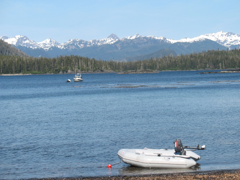 Achilles tender, Sitka Alaska