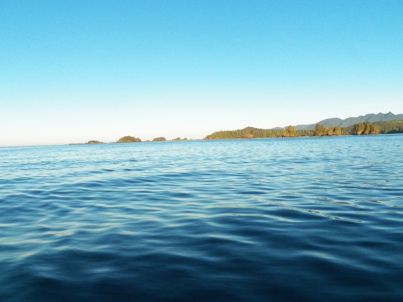 Acous Peninsula with the Brooks Peninsula in back.  Some of the Cuttle Islets on the left were open to fishing and it was great.