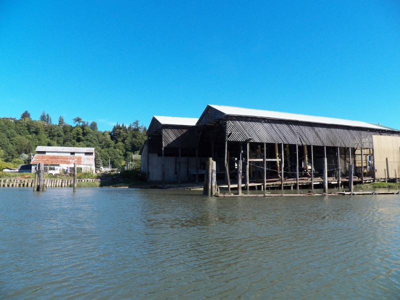 After solving the breakdown problem, the first place that I head is the Hoquiam River.  These are the old dry docks where we roamed as kids.
