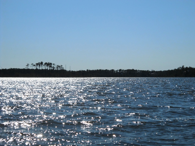 Afternoon sun, Neuse River near Broad Creek 9.16.11
