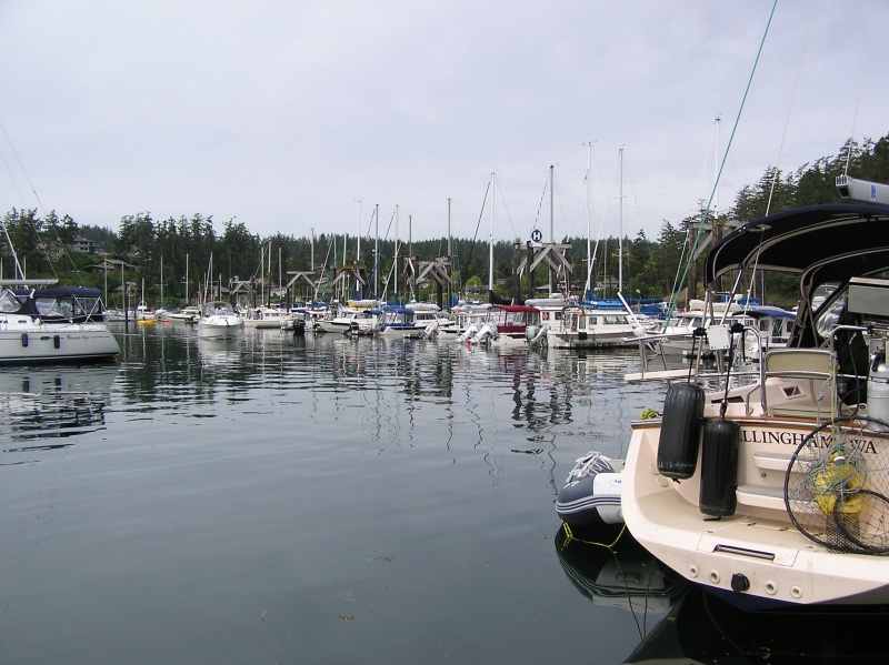 All of "H" dock full of C-Brats