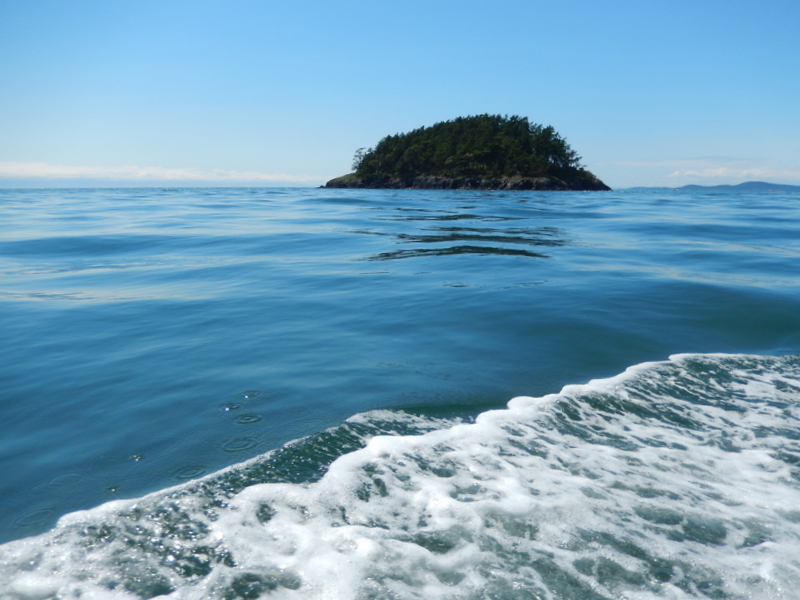Allan Island and the wake of See-Saw