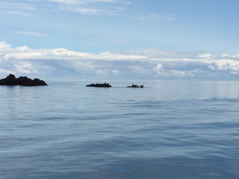 Allan Island