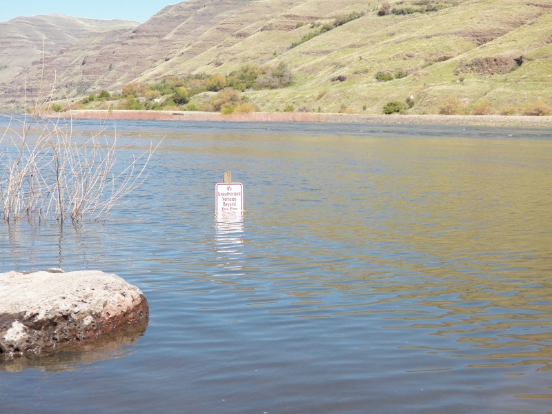 Although the reservoir was low, the river was obviously high.