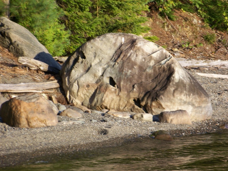 An alien face turned into stone.